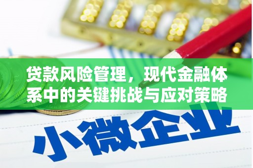 仙居贷款风险管理，现代金融体系中的关键挑战与应对策略