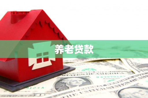仙居养老贷款