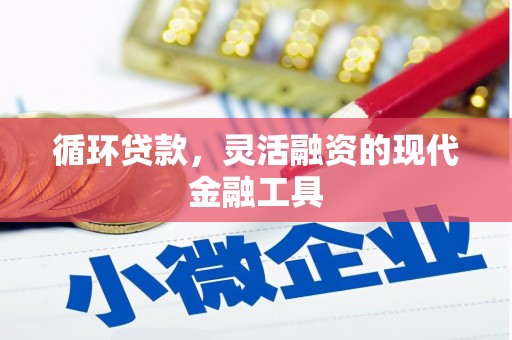 仙居循环贷款，灵活融资的现代金融工具