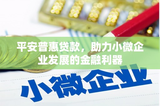仙居平安普惠贷款，助力小微企业发展的金融利器