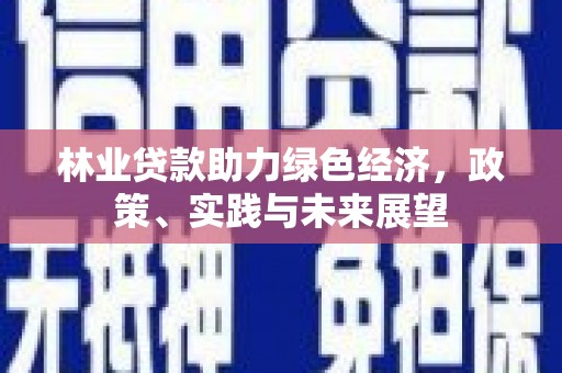 仙居林业贷款助力绿色经济，政策、实践与未来展望