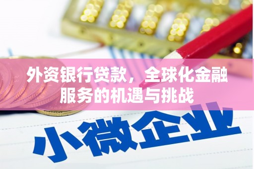 仙居外资银行贷款，全球化金融服务的机遇与挑战