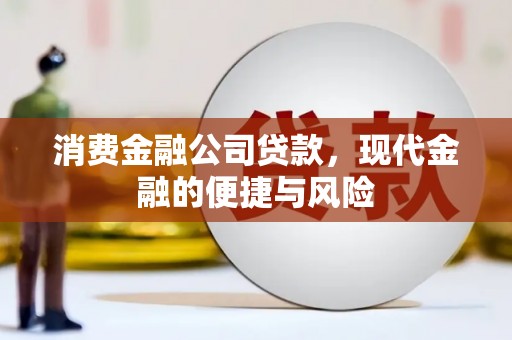 仙居消费金融公司贷款，现代金融的便捷与风险