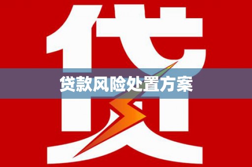 仙居贷款风险处置方案