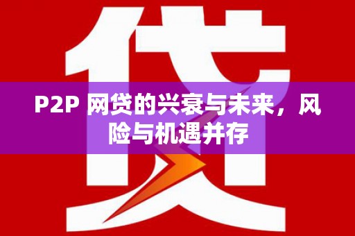 仙居P2P 网贷的兴衰与未来，风险与机遇并存