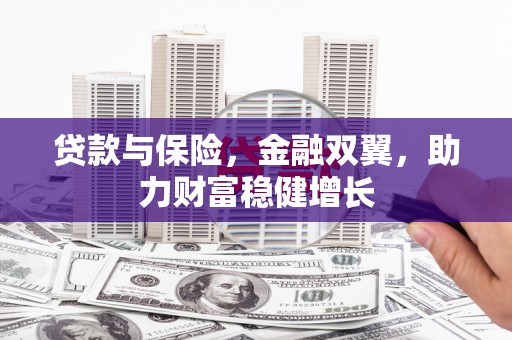 仙居贷款与保险，金融双翼，助力财富稳健增长