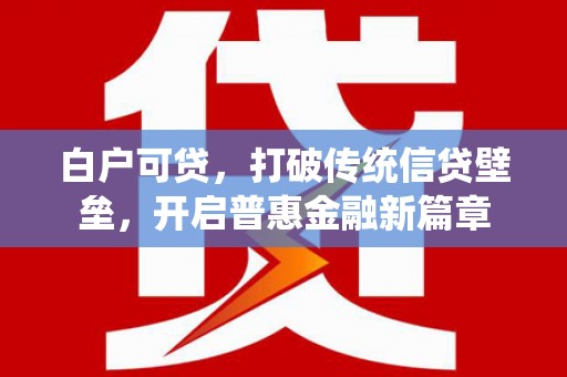 仙居白户可贷，打破传统信贷壁垒，开启普惠金融新篇章