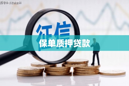 仙居保单质押贷款