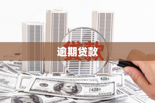 仙居逾期贷款