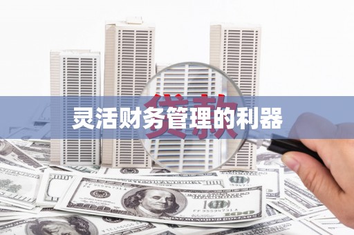仙居灵活财务管理的利器