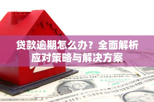 仙居贷款逾期怎么办？全面解析应对策略与解决方案