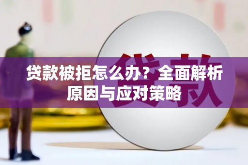 仙居贷款被拒怎么办？全面解析原因与应对策略