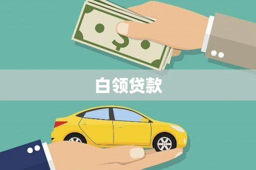 仙居白领贷款