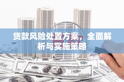 仙居贷款风险处置方案，全面解析与实施策略
