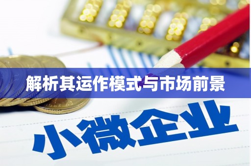 仙居解析其运作模式与市场前景