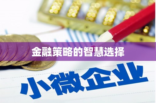 仙居金融策略的智慧选择