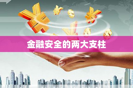 仙居金融安全的两大支柱