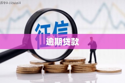 仙居逾期贷款