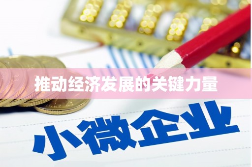 仙居推动经济发展的关键力量
